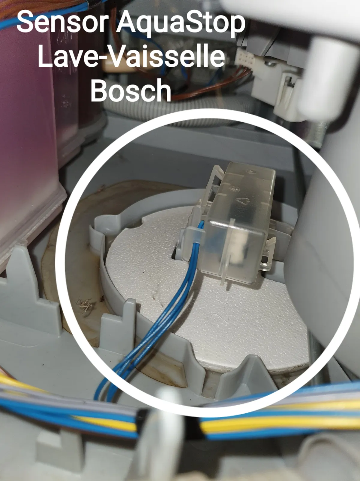 Capteur AquaStop Bosch